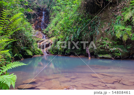 伊尾木洞 滝 伊尾木洞 滝 54808461