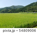 田園の風景　田舎の風景 54809006