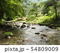 渓流　川　田舎の風景 54809009