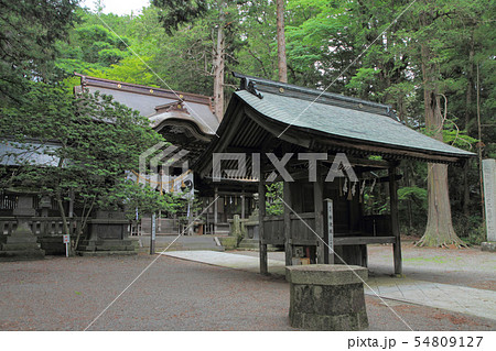 矢彦神社 勅使殿と拝殿 矢彦神社 勅使殿と拝殿 54809127