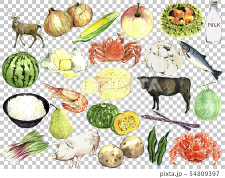 食物集 54809397