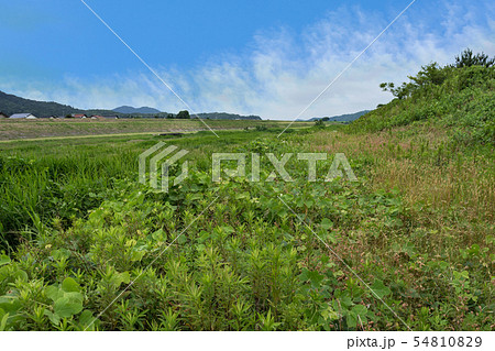 山城　月山富田城下　富田川河川敷 54810829