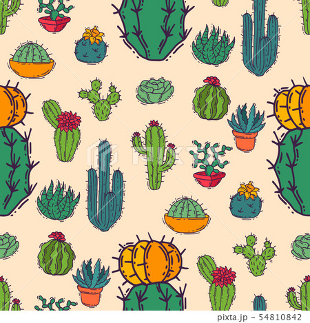 Cactus home nature vector illustration of green plant cactaceous tree with flower seamless pattern 54810842