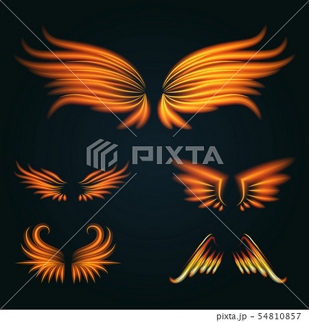 Bird fire wings fantasy feather burning fly mystic glow fiery burn hot art wings illustration on 54810857