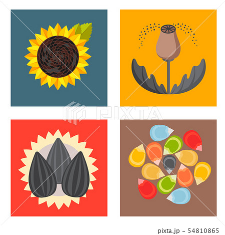 Cereal seeds grain product badge logo templates set natural plant muesli grainy organic porridge Cereal seeds grain product badge logo templates set natural plant muesli grainy organic porridge 54810865