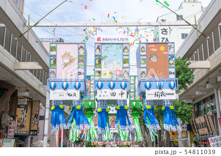 神奈川県 湘南ひらつか七夕まつり 神奈川県 湘南ひらつか七夕まつり 54811039