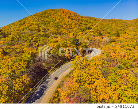Aerial view of road in beautiful autumn forest at sunset. Beautiful landscape with empty rural road Aerial view of road in beautiful autumn forest at sunset. Beautiful landscape with empty rural road 54811072