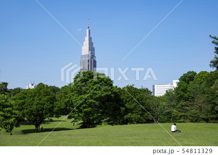 【芝生公園】 54811329