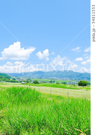 夏の信州・安曇野の風景 54811553