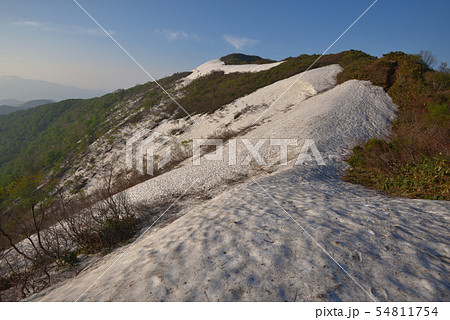 馬蹄形　白毛門、笠ヶ岳の鞍部から見る白毛門山へ続く残雪の尾根と白毛門山頂 54811754