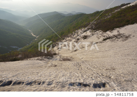 馬蹄形　白毛門、笠ヶ岳の鞍部付近から見るウツボギ沢へ続く残雪の斜面　 54811758