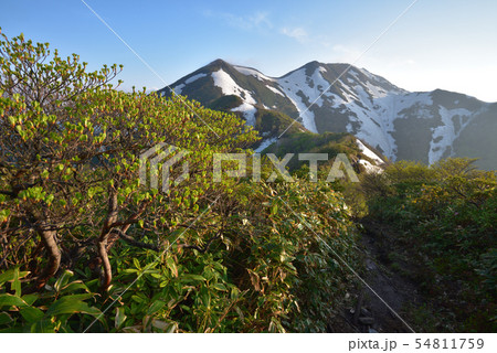 馬蹄形　白毛門山頂北側縦走路から見る笠ヶ岳、烏帽子岳へ続く尾根 54811759