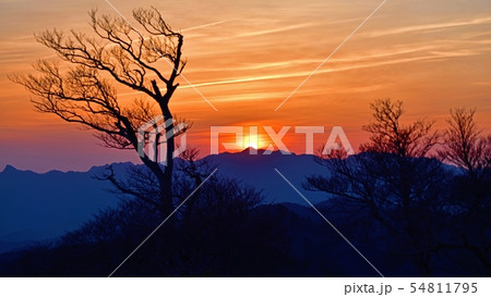 大台ケ原山で見た夕焼けの情景 大台ケ原山で見た夕焼けの情景 54811795