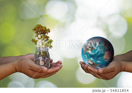 World environment day at with tree planting World environment day at with tree planting 54811854