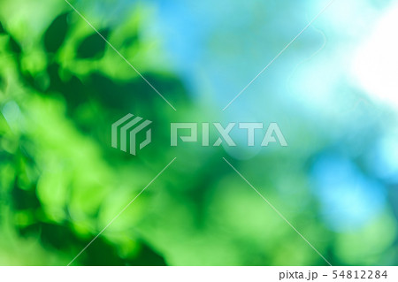 blur green leaves blue sky nature background 54812284