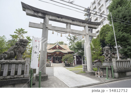 熊野神社 (横浜市神奈川区東神奈川) 熊野神社 (横浜市神奈川区東神奈川) 54812752