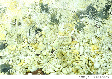 噴水 泡 床 54812825