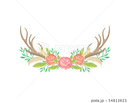 Compositions of roses, horns, feathers and green leaves. Vector illustration on white background. 54813623