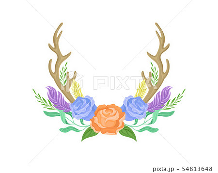 Compositions of orange and blue roses, tall horns, feathers and leaves. Vector illustration on white 54813648