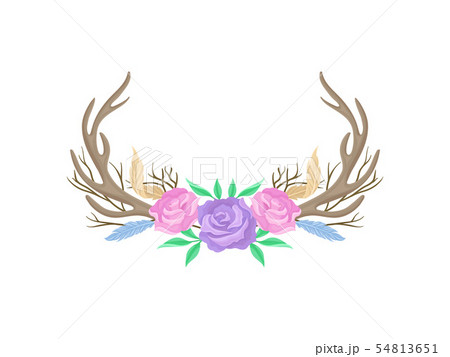 Compositions of pink and purple roses, horns, feathers and twigs. Vector illustration on white 54813651