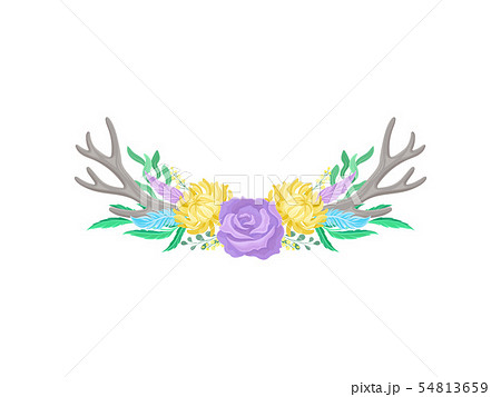 Compositions of purple roses, gray antlers and blue feathers. Vector illustration on white 54813659