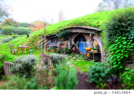 ホビットの家と庭　ニュージーランド　hobbiton Shire NZ 54813664