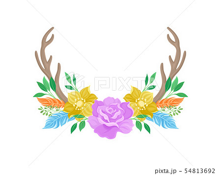 Compositions of purple roses, orange flowers,deer horns, feathers and leaves. Vector illustration on 54813692