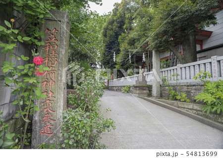 笠䅣稲荷神社(横浜市神奈川区東神奈川) 笠䅣稲荷神社(横浜市神奈川区東神奈川) 54813699