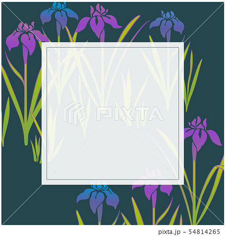 和柄素材 - 菖蒲の和風デザインフレーム 54814265