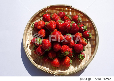 イチゴ 54814292