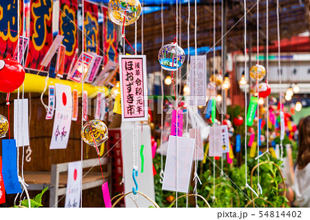 浅草　浅草寺　ほおずき市 54814402