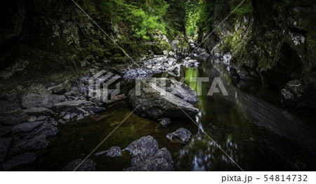 Fairy Glen Betws-y-coed Fairy Glen Betws-y-coed 54814732