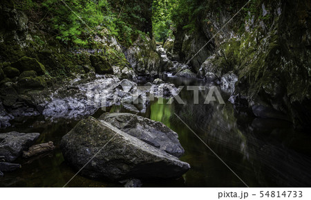 Fairy Glen Betws-y-coed Fairy Glen Betws-y-coed 54814733