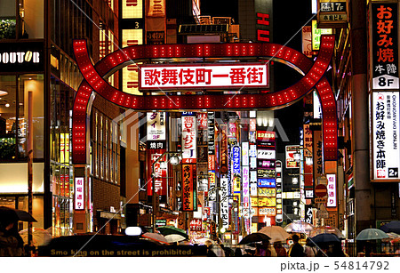 日本の東京都市景観　新宿・歌舞伎町などを望む（夜景） 54814792