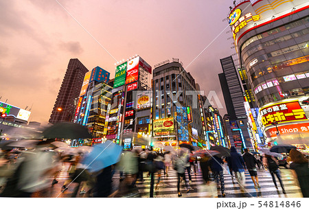 日本の東京都市景観　新宿・歌舞伎町などを望む（オレンジ色に染まる空） 54814846