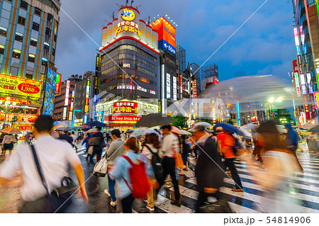 日本の東京都市景観 新宿・歌舞伎町などを望む(夜景) 日本の東京都市景観 新宿・歌舞伎町などを望む(夜景) 54814906