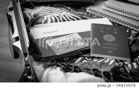 スーツケース　海外旅行保険付クレジットカード　夏　出張　パスポート 54815074