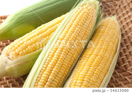 トウモロコシ 54815090