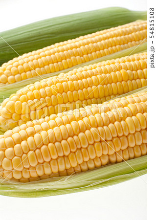 トウモロコシ 54815108