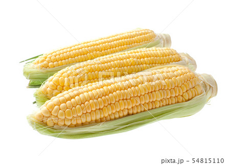トウモロコシ 54815110