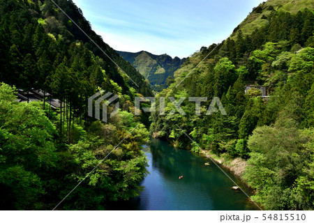 奥多摩の渓谷と白丸湖 奥多摩の渓谷と白丸湖 54815510