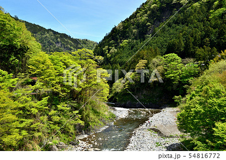 奥多摩の渓谷とキャンプ場 奥多摩の渓谷とキャンプ場 54816772