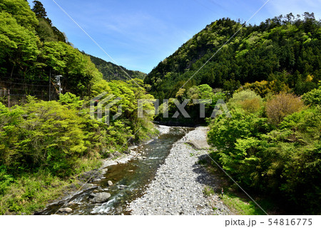 奥多摩の渓谷とキャンプ場 54816775