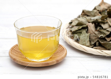 どくだみ お茶 どくだみ お茶 54816781