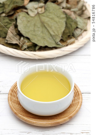 どくだみ　お茶 54816786