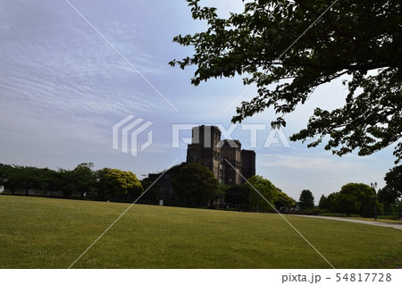 森林公園 森林公園 54817728