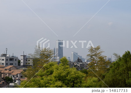 森林公園 森林公園 54817733
