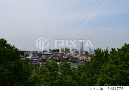 森林公園 森林公園 54817764
