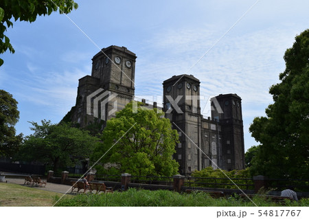 森林公園 森林公園 54817767