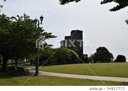 森林公園 森林公園 54817772